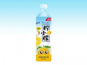 檸小檬2元搶購系列500ml x24